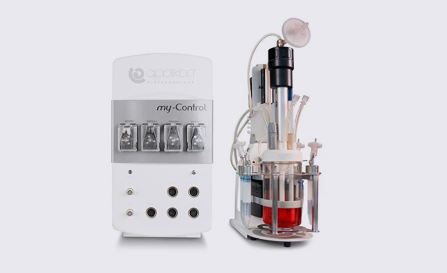 细胞扩增培养工艺