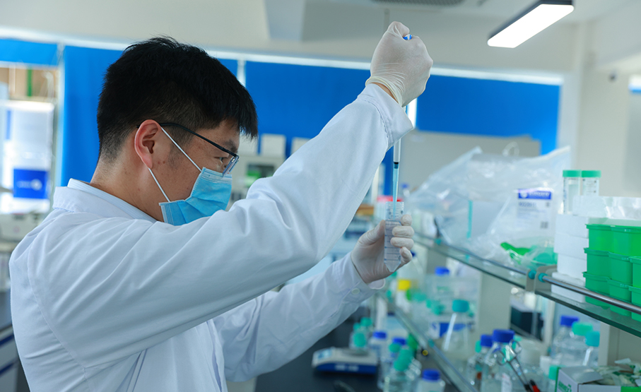 单克隆细胞株开发