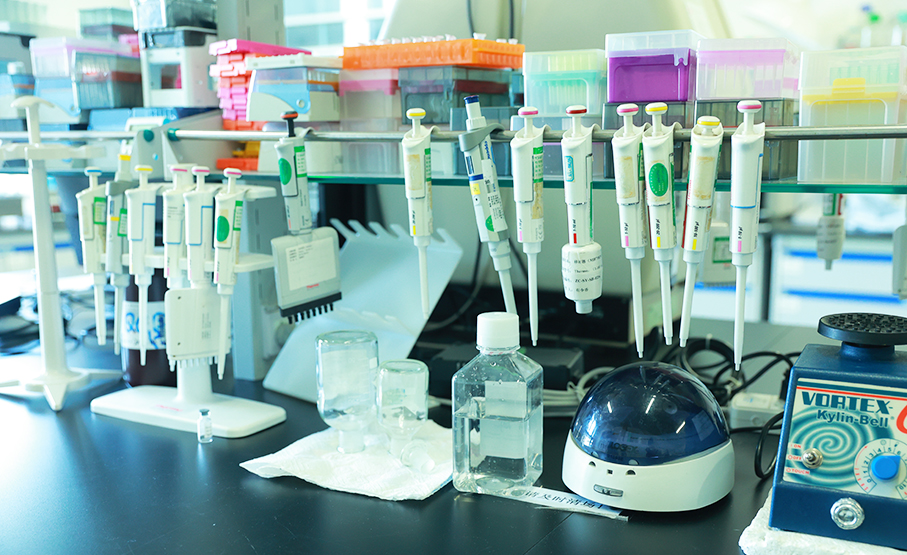 质量分析和验证