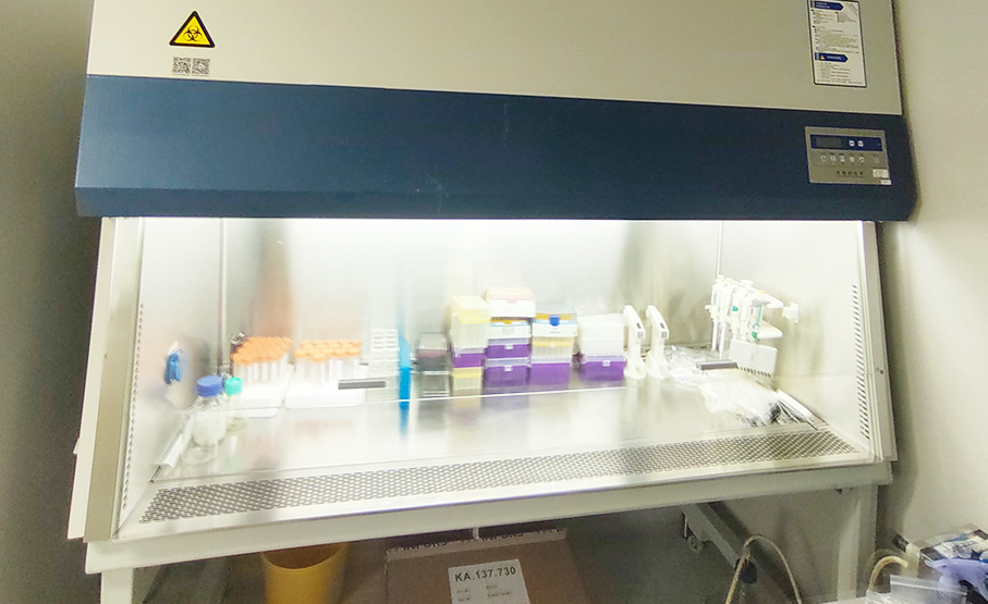 慢病毒包装服务