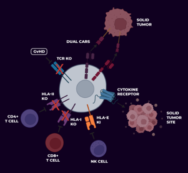 武田再度加码“被抛弃”的细胞疗法，CAR-NK或将在2029问世