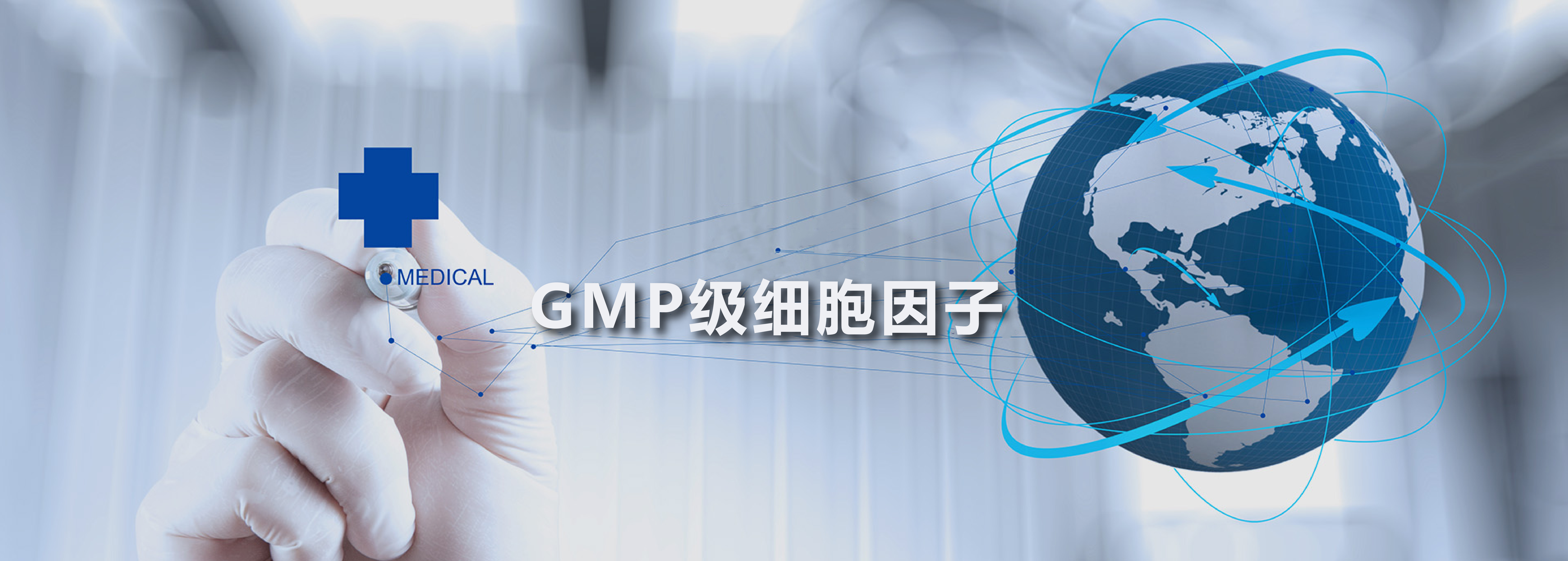 GMP细胞因子
