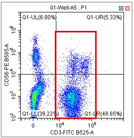 实验结果2.jpg 实验结果2.jpg