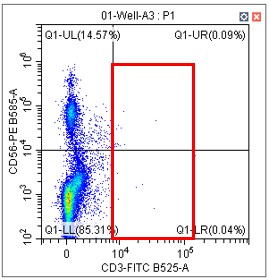实验结果4.jpg 实验结果4.jpg