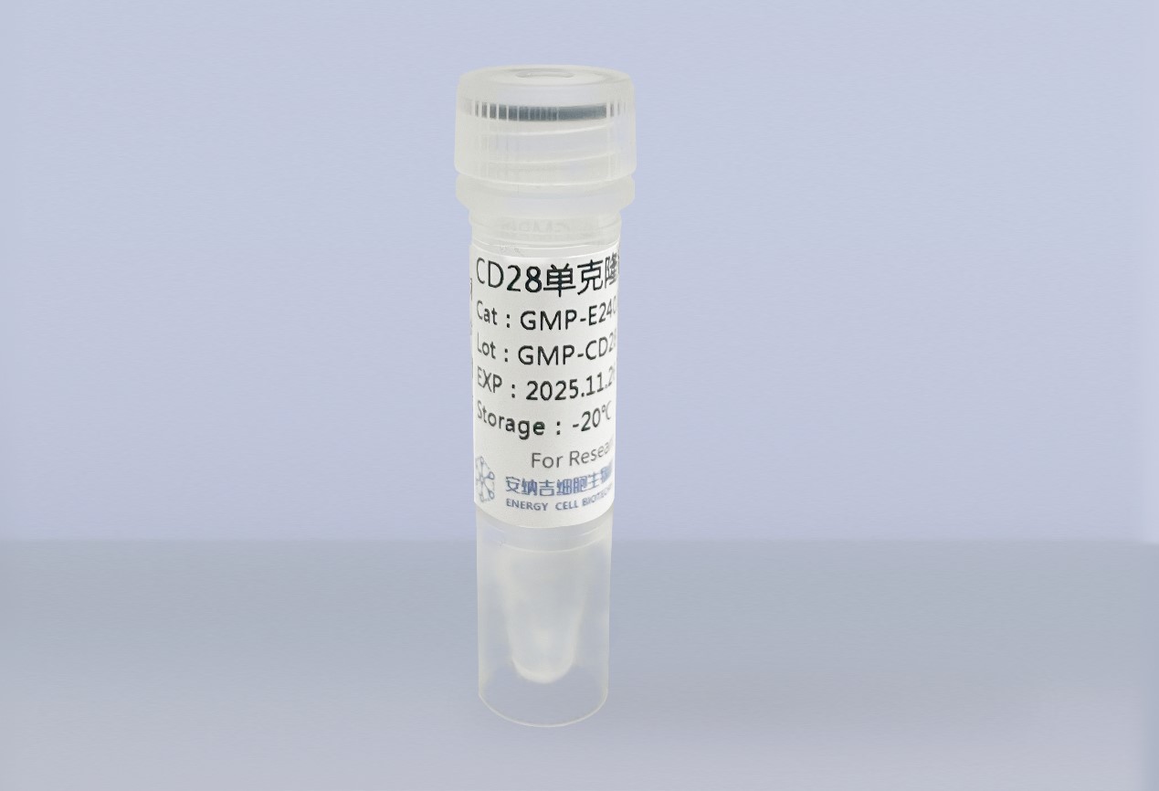 GMP级—CD28单克隆抗体