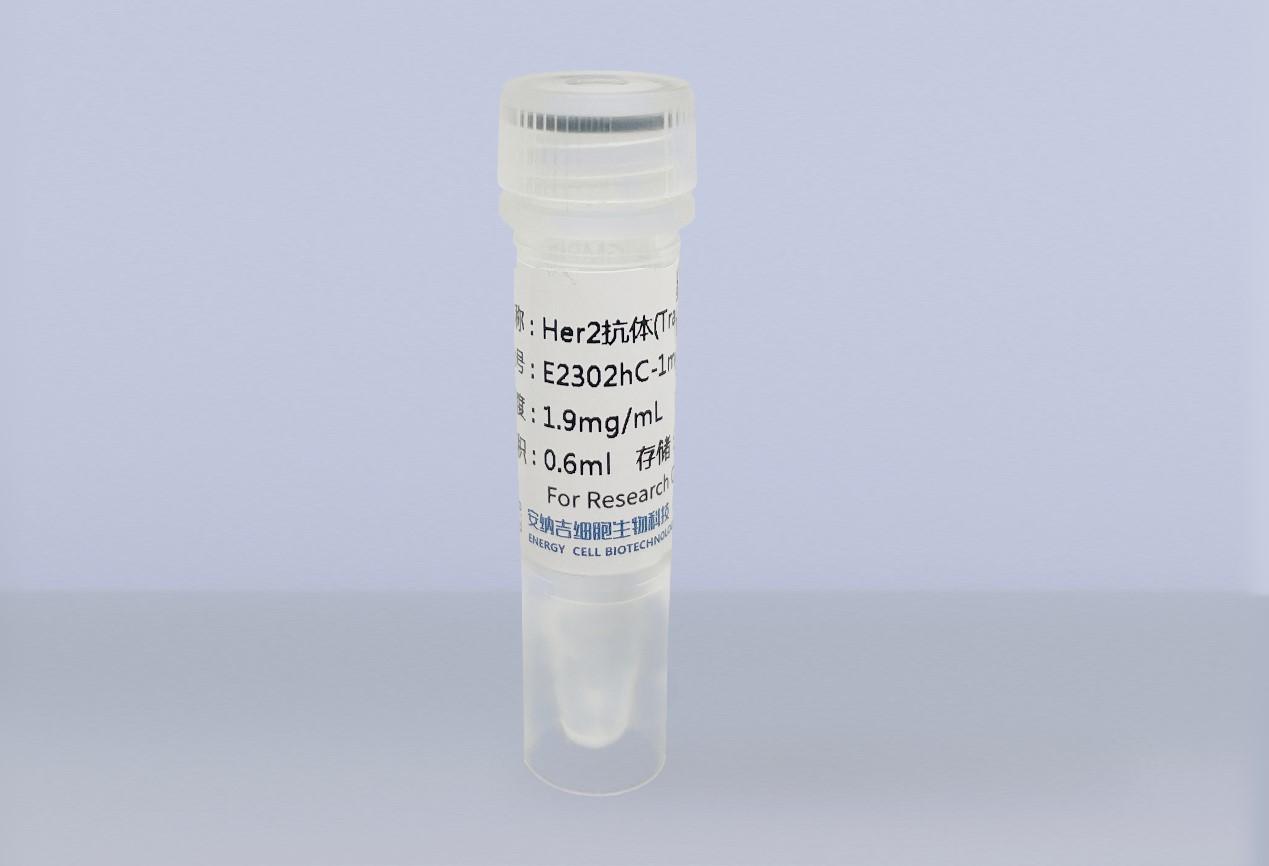 Her2单克隆抗体（Trastuzumab）