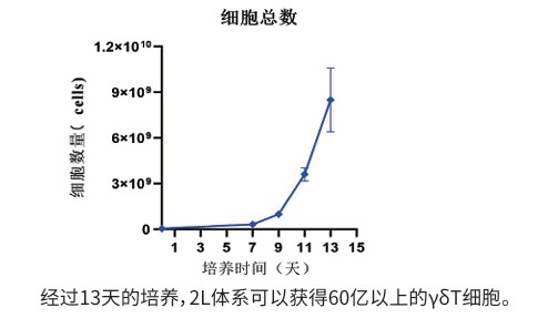 γδT细胞增殖.jpg