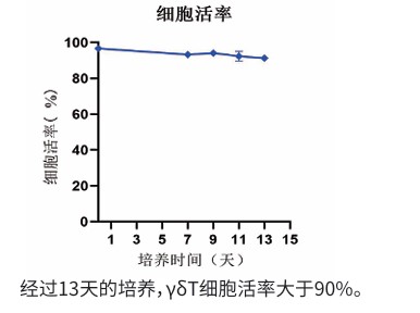 γδT细胞活率.jpg
