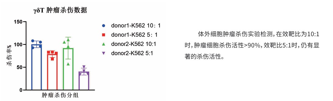 γδT细胞功能验证.jpg