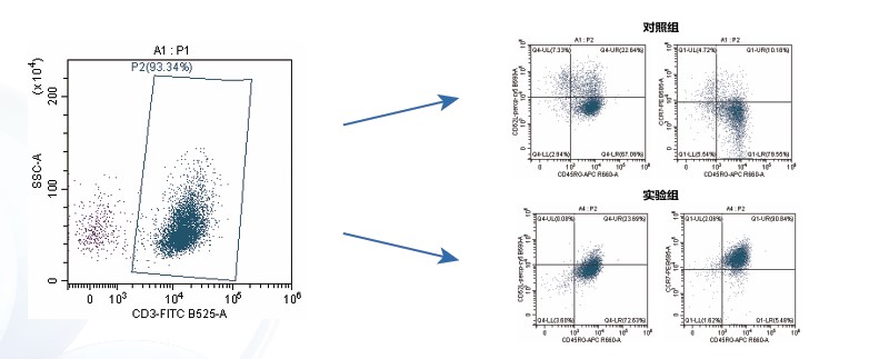 对照组.jpg 对照组.jpg