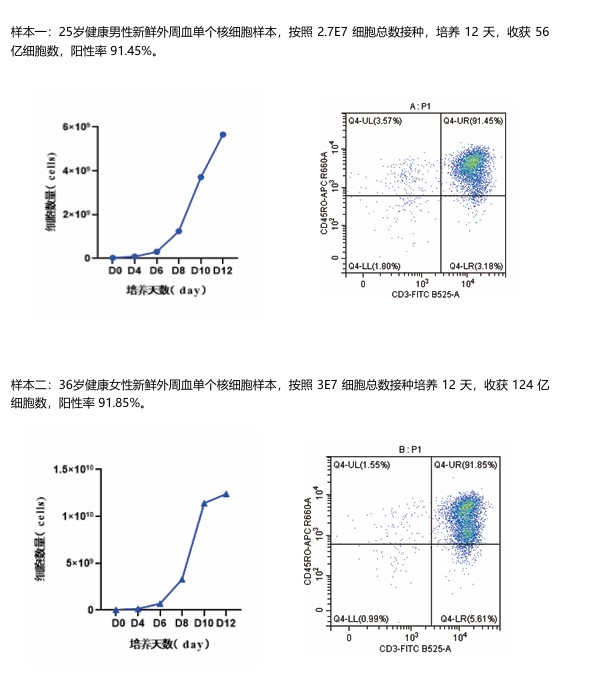 案例展示.jpg 案例展示.jpg