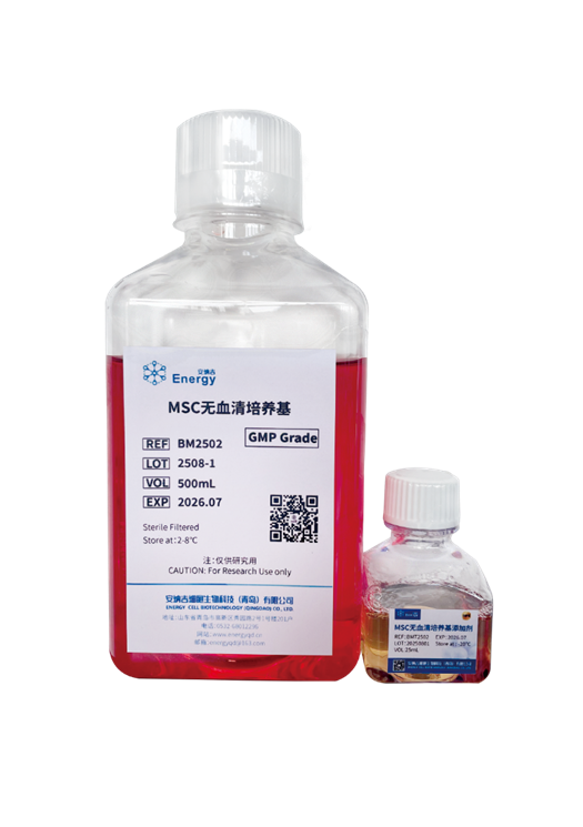 GMP级—人间充质干细胞（MSC）培养试剂盒