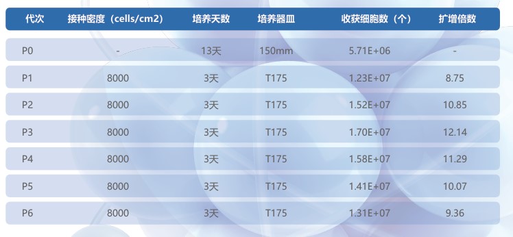 脐带原代MSC分离及传代数据.jpg 脐带原代MSC分离及传代数据.jpg